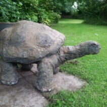Giant Turtle Outdoor Sculpture – Sold