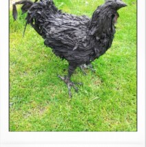 ” Ayam Cemani ” Rare Breed Chicken Sculpture – Sold