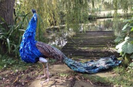 Peacock Sculpture – £395 Sold