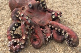 Giant Octopus Sculpture- Poa