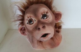 Baby Orangutan  – Price £300