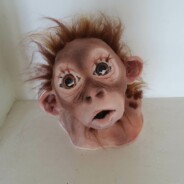 Baby Orangutan   Price £300