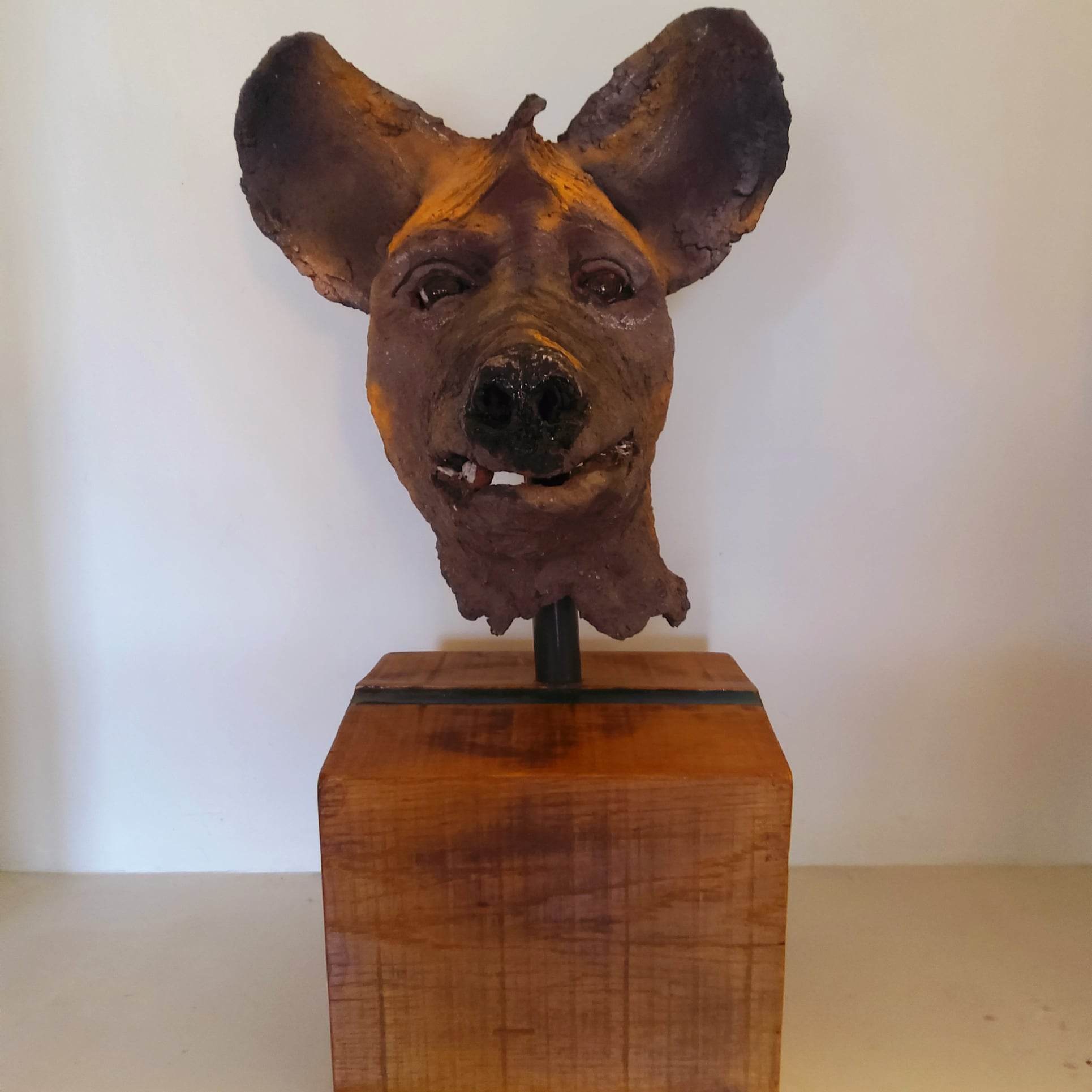Ceramic Hyena Head Mounted On Oak £495